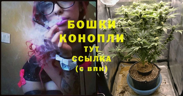 MESCALINE Михайлов