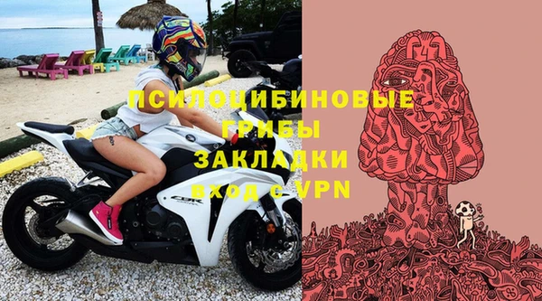 прущие крисы Михайловка