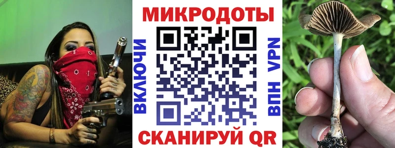хочу наркоту  Сызрань  Галлюциногенные грибы Psilocybe 